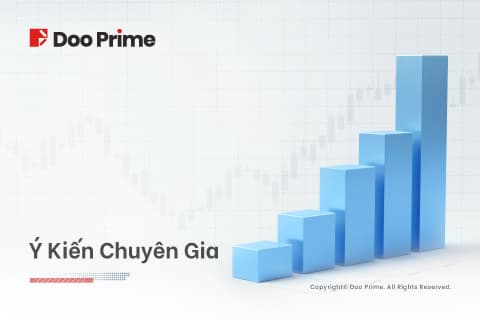 Ý Kiến Chuyên Gia Resize